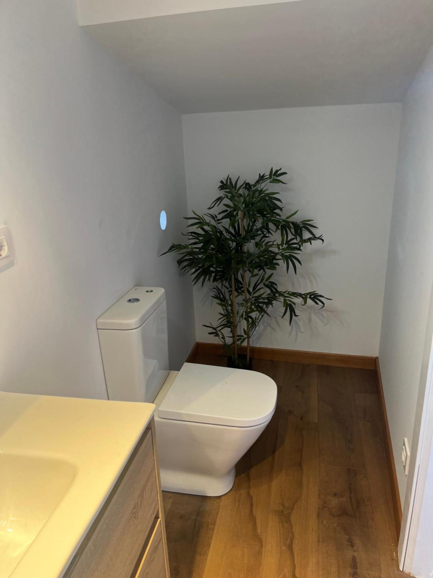 Apartamentosarturo Casarural Pancarale-Llanes Dış mekan fotoğraf